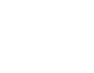 Nimex